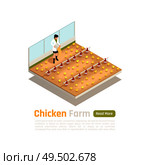 Broiler poultry stock production isometric composition with modern newly hatched chicks breeder technologies internal facility vector illustration. Стоковая иллюстрация, агентство Ingram Publishing / Фотобанк Лори