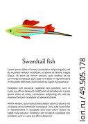 Colorful male swordtail fish isolated on white graphic. Freshwater aquarium fish icon on blank background, in cartoon style, vector illustration. Colorful Swordtail Fish Isolated on White Graphic. Стоковая иллюстрация, агентство Ingram Publishing / Фотобанк Лори