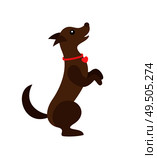 Dog wearing bow on neck, pet canine jumping up vector. Animal in veterinary, isolated icon of domesticated mammal. Friendly hound wagging tail happy. Dog Wearing Bow on Neck, Pet Canine Jumping Up. Стоковая иллюстрация, агентство Ingram Publishing / Фотобанк Лори