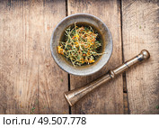 Dry hypericum on wooden table.Medicinal herbs and alternative medicine. Hypericum healing plant. Стоковое фото, агентство Ingram Publishing / Фотобанк Лори