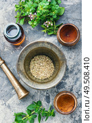 Oregano or marjoram leaves in mortar.Bunch healing herbs.Flat lay. Fresh and dried oregano herb. Стоковое фото, агентство Ingram Publishing / Фотобанк Лори