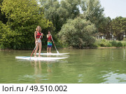 silhouette of perfect couple engage standup paddle boarding. Стоковое фото, агентство Ingram Publishing / Фотобанк Лори