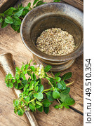 Oregano or marjoram leaves in herbal medicine. Fresh and dried oregano herb. Стоковое фото, агентство Ingram Publishing / Фотобанк Лори