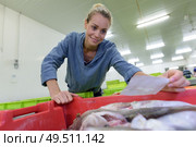 seafood bulk buyer with her list. Стоковое фото, агентство Ingram Publishing / Фотобанк Лори