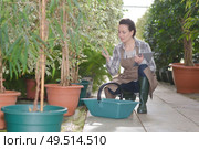 inspired young woman gardener in greenhouse. Стоковое фото, агентство Ingram Publishing / Фотобанк Лори