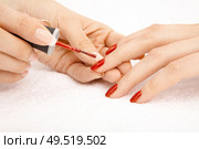 Process of drawing red varnish on the female nails, isolated. Стоковое фото, агентство Ingram Publishing / Фотобанк Лори