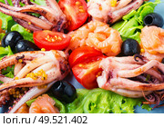 Salad with calamari, salmon and vegetables.Seafood concept. Salad with squid and seafood. Стоковое фото, агентство Ingram Publishing / Фотобанк Лори