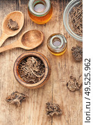 Medicinal tincture from the roots and rhizomes of valerian.Valeriana officinalis. Herbal tincture of valerian. Стоковое фото, агентство Ingram Publishing / Фотобанк Лори