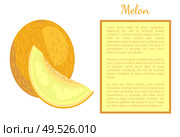 Melon exotic juicy stone fruit whole and cut vector poster frame for text. Tropical sweet edible, fleshy food, dieting vegetarian yellow dieting dessert. Melon Exotic Juicy Stone Fruit Vector Poster Frame. Стоковая иллюстрация, агентство Ingram Publishing / Фотобанк Лори