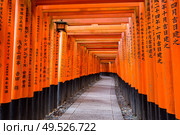 vermillion Torii path at Fushimi Inari Taisha Shrine in Kyoto, Japan. Torii path at Fushimi Inari Taisha Shrine in Kyoto, Japan. Стоковое фото, агентство Ingram Publishing / Фотобанк Лори