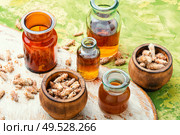 Healing decoction from pine kidneys.Dried pine buds.Medicinal tincture for colds.. Pine kidneys in folk medicine. Стоковое фото, агентство Ingram Publishing / Фотобанк Лори