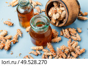 Healing decoction from pine kidneys.Dried pine buds.Medicinal tincture for colds.. Pine kidneys in folk medicine. Стоковое фото, агентство Ingram Publishing / Фотобанк Лори