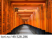 vermillion Torii path at Fushimi Inari Taisha Shrine in Kyoto, Japan. Torii path at Fushimi Inari Taisha Shrine in Kyoto, Japan. Стоковое фото, агентство Ingram Publishing / Фотобанк Лори