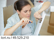 woman fixing a cabinet door. Стоковое фото, агентство Ingram Publishing / Фотобанк Лори
