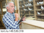 Man looking at clipboard in aviary. Стоковое фото, агентство Ingram Publishing / Фотобанк Лори