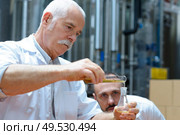 brewery workers checking fermentation process. Стоковое фото, агентство Ingram Publishing / Фотобанк Лори