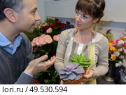 smiling woman seller offering flowers male client. Стоковое фото, агентство Ingram Publishing / Фотобанк Лори