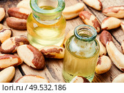 Gourmet peeled Brazil nut and jars of oil.. Brazil nut or Bertholletia. Стоковое фото, агентство Ingram Publishing / Фотобанк Лори