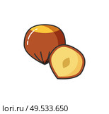 Food icon vector nuts whole and half. Hazel symbol collection nutmeg sign. Vector. Graphic Nuts Illustration Symbol Vector Isolated. Стоковая иллюстрация, агентство Ingram Publishing / Фотобанк Лори