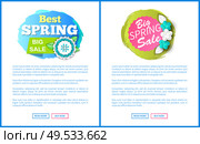 Springtime sale certificate with best prices offer. Vector web page with text sample, buttons read more and buy now. Cost reduction informative leaflets. Springtime Sale Certificate with Best Prices Offer. Стоковая иллюстрация, агентство Ingram Publishing / Фотобанк Лори
