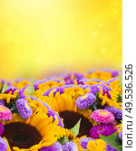 mixed fresh autumn flowers border  on golden bokeh background. mixed autumn flowers. Стоковое фото, агентство Ingram Publishing / Фотобанк Лори