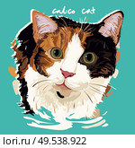 A vector illustration of Calico Cat Painting Poster. Стоковая иллюстрация, агентство Ingram Publishing / Фотобанк Лори