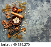 Herbal pills with healthy medical plant.Alternative medicine herbal and pills. Vitamins, tablets and pills. Стоковое фото, агентство Ingram Publishing / Фотобанк Лори