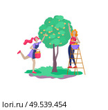 Harvesting and gardening people doing farming and garden job, pick berries, remove weeds, watering, planting, growing and transplant sprouts, lay ripe vegetables to box. Reaping crop concept. Harvesting and gardening people doing farming and garden job, pick berries, remove weeds, watering, planting, growing and transplant sprouts, lay ripe vegetables to box. Reaping crop. Стоковая иллюстрация, агентство Ingram Publishing / Фотобанк Лори