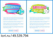 Spring sale discount, best offer promotion leaflets with text sample and push buttons. Promo price, web page template, tag and blooming plant, vector. Spring Sale Discount Best Offer Promotion Leaflets. Стоковая иллюстрация, агентство Ingram Publishing / Фотобанк Лори