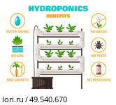 Hydroponics benefits concept with water saving and fast growth symbols cartoon vector illustration. Стоковая иллюстрация, агентство Ingram Publishing / Фотобанк Лори