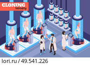 Human cloning laboratory futuristic background with men women and baby beings growing in glass capsules with fluid isometric vector illustration. Стоковая иллюстрация, агентство Ingram Publishing / Фотобанк Лори