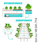 Hydroponics and aeroponics concept with watering and fast growth symbols cartoon vector illustration. Стоковая иллюстрация, агентство Ingram Publishing / Фотобанк Лори