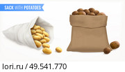 Sack with potatoes realistic set with spuds of different fluke and colour with text and bags vector illustration. Стоковая иллюстрация, агентство Ingram Publishing / Фотобанк Лори