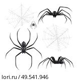 Black spiders realistic set with isolated images of spiderweb crackles and arthropod insects on blank background vector illustration. Стоковая иллюстрация, агентство Ingram Publishing / Фотобанк Лори