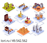 Wine production flowchart with pressing and fermentation symbols isometric  vector illustration. Стоковая иллюстрация, агентство Ingram Publishing / Фотобанк Лори