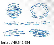 Fish school colonies realistic set with fast moving wedge shape feeding shoals circulair transparent background vector illustration. Стоковая иллюстрация, агентство Ingram Publishing / Фотобанк Лори