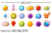 Human viruses varieties colorful icons set with smallpox different types flu measles polio ebola isolated vector illustration. Стоковая иллюстрация, агентство Ingram Publishing / Фотобанк Лори