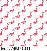 Seamless pattern of pink flamingos on white background vector. Tropical birds with long neck and legs. Elegant birdie exotic fauna animals nature. Flamingo Seamless Pattern, Exotic Birds Nature. Стоковая иллюстрация, агентство Ingram Publishing / Фотобанк Лори