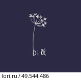 Hand drawn set of culinary herb. Basil and mint, rosemary and sage, thyme and parsley. Food design logo elements. Hand drawn set of culinary herb. Basil and mint, rosemary and sage, thyme and parsley. Food design logo. Стоковая иллюстрация, агентство Ingram Publishing / Фотобанк Лори