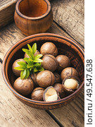 Heap of macadamia nuts in bowl.Healthy product. Macro photo macadamia nuts. Стоковое фото, агентство Ingram Publishing / Фотобанк Лори