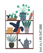 Plants growing in pots vector, houseplants in different flowerpots, books and boxes on wooden construction. Greenhouse orangery foliage and flora. Houseplants Standing on Shelf with Books and Box. Стоковая иллюстрация, агентство Ingram Publishing / Фотобанк Лори