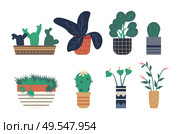 Hothouse representing plants vector, greenhouse houseplants set isolated flat style flora with foliage and leaves, floral decoration botanical flowers. Greenhouse Plants Set, Houseplants Types Isolated. Стоковая иллюстрация, агентство Ingram Publishing / Фотобанк Лори