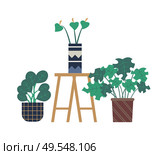 Lilly in vase vector, isolated plants in pots placed on stand. Blooming flora flat style, vegetation and biodiversity, calla flowering greenhouse. Calla Flower in Pot, Flowerpots of Greenhouse. Стоковая иллюстрация, агентство Ingram Publishing / Фотобанк Лори