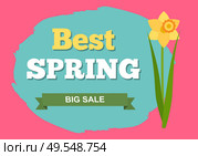 Sale, discount and best offer, label for springtime promotion and advertising, daisy bouquet. Advertisement decorated by flowers, greeting for ladies vector. Early spring and summer flower for wedding. Springtime Label with Flowers, Web Offer Vector. Стоковая иллюстрация, агентство Ingram Publishing / Фотобанк Лори
