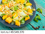 Spring salad with mango, cucumber and sprouts.Vegetable salad of sprouted mung beans. Salad with mango and vegetables. Стоковое фото, агентство Ingram Publishing / Фотобанк Лори