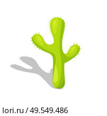 Desert plant with spikes, isolated Mexican cactus with spikes vector. Flora and biology species, fiesta or Cinco de Mayo holiday natural symbol, summer. Mexican Cactus with Spikes, Isolated Desert Plant. Стоковая иллюстрация, агентство Ingram Publishing / Фотобанк Лори