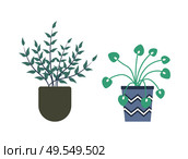 Flowers growing in pots vector, isolated set of flowerpots decorated with stripes and zig zags, orangery with foliage and botanic variety of houseplants. Greenhouse Plants in Pots, Orangery Flora Flowers. Стоковая иллюстрация, агентство Ingram Publishing / Фотобанк Лори