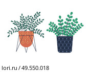 Flowers with foliage vector, set of plants flat style. Isolated houseplant from hothouse, flowerpot with dots, container standing on metal construction. Greenhouse Plants Growing in Pots, Flowers Set. Стоковая иллюстрация, агентство Ingram Publishing / Фотобанк Лори