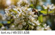 A bee collecting nectar on a blooming apple tree in close-up. Macro photography. Natural food. The disappearance of bees. Стоковое AI-изображение, AI-художник Photojuli / Фотобанк Лори
