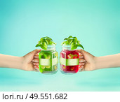 Female hands toasting with summer drinks. Red and green refreshing fruits beverages in glass jar with branding mock up at sunny bight mint turquoise  background. Summer time mood. Blank Label . Health. Стоковое фото, агентство Ingram Publishing / Фотобанк Лори